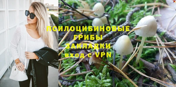 синтетический гашиш Алексин