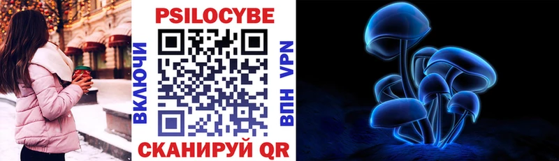 хочу наркоту  hydra маркетплейс  Галлюциногенные грибы Psilocybine cubensis  Мещовск 